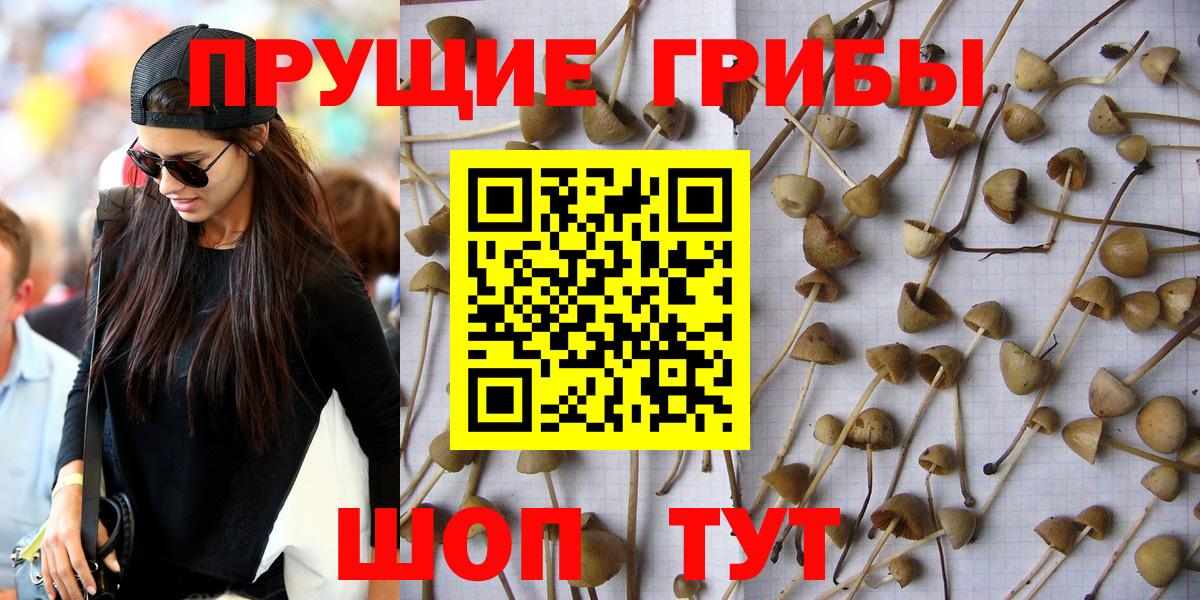 Галлюциногенные грибы MAGIC MUSHROOMS  Вход с VPN  Галлюциногенные грибы прущие грибы  Нижнеудинск 