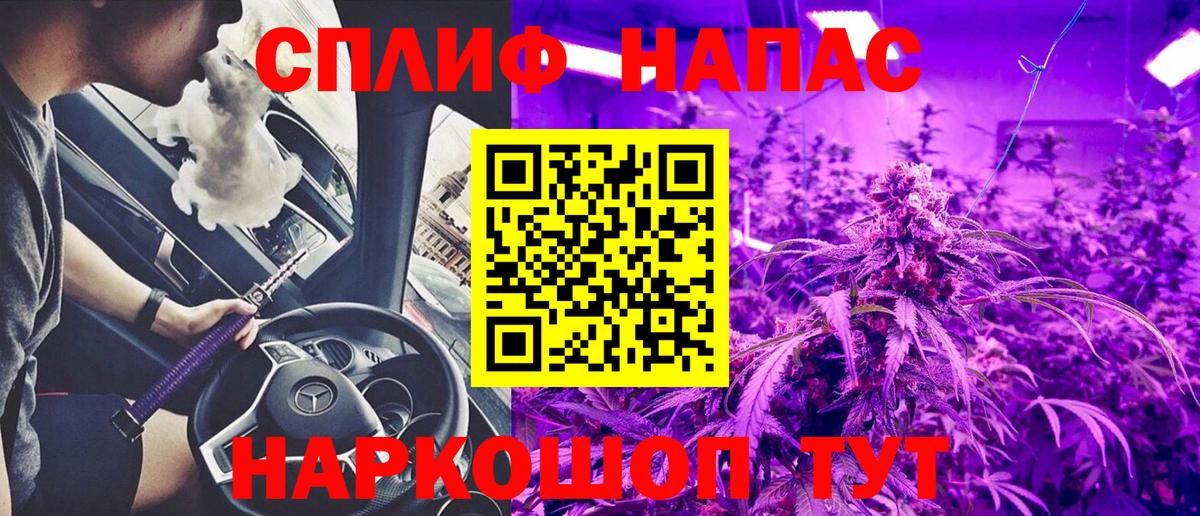 Бошки Шишки планчик Нижнеудинск
